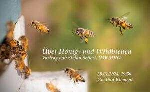 Vortrag-Bienen